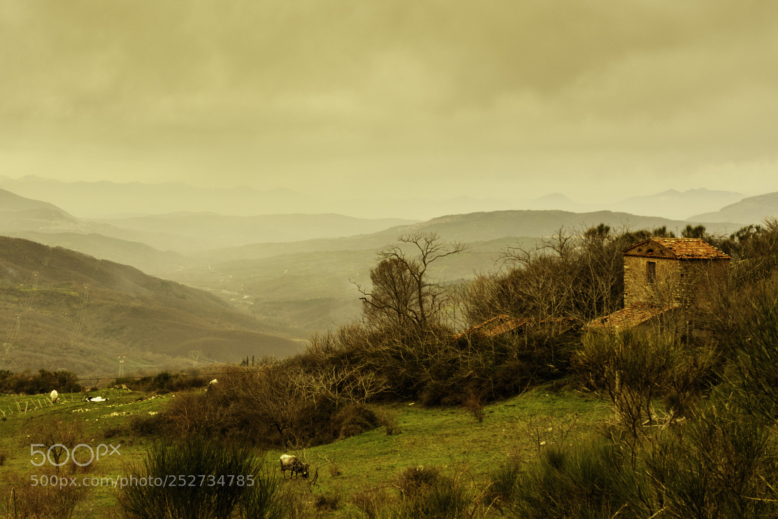 Sony a7R III sample photo. Rural landscape photography