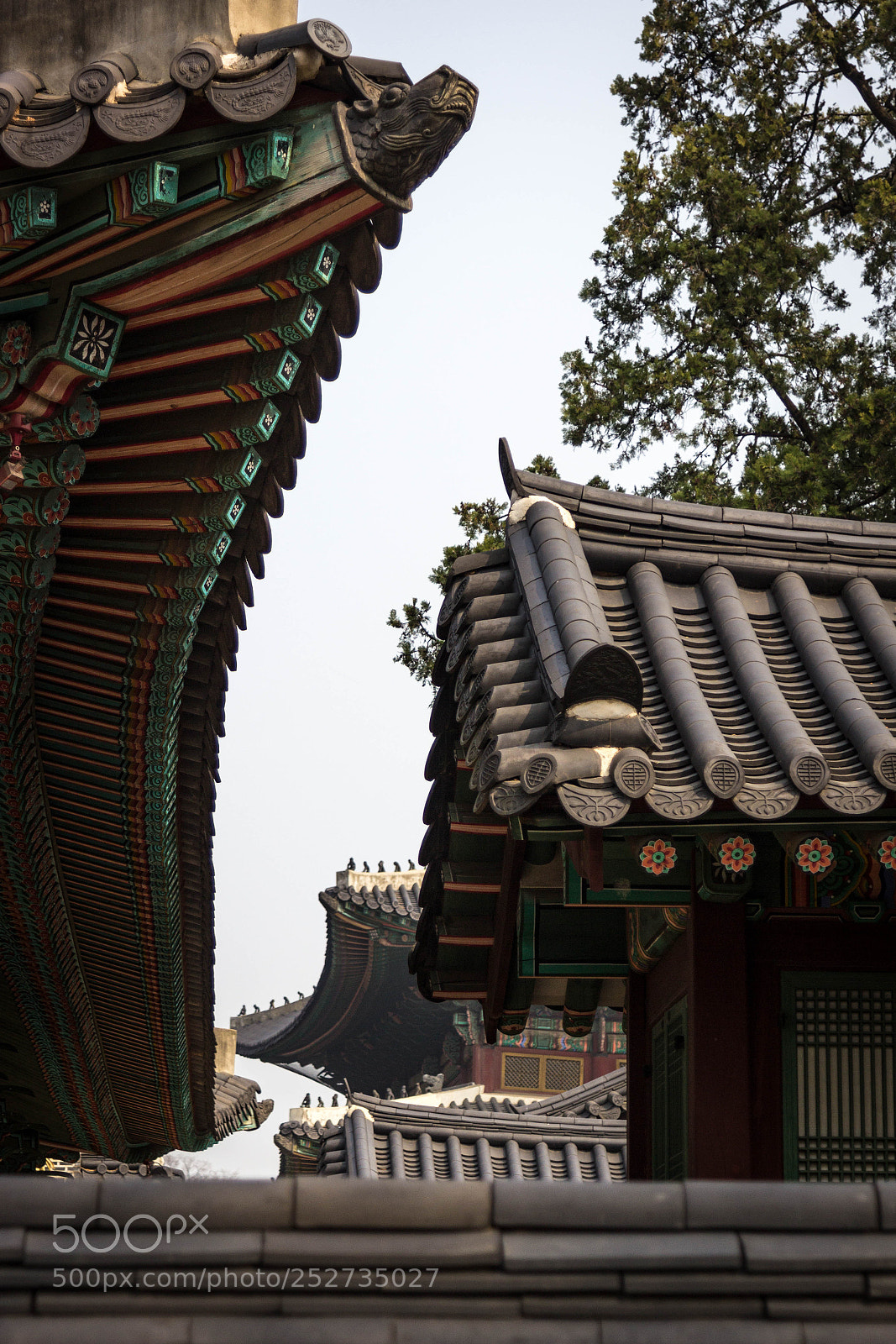 Canon EOS 600D (Rebel EOS T3i / EOS Kiss X5) sample photo. Line photography
