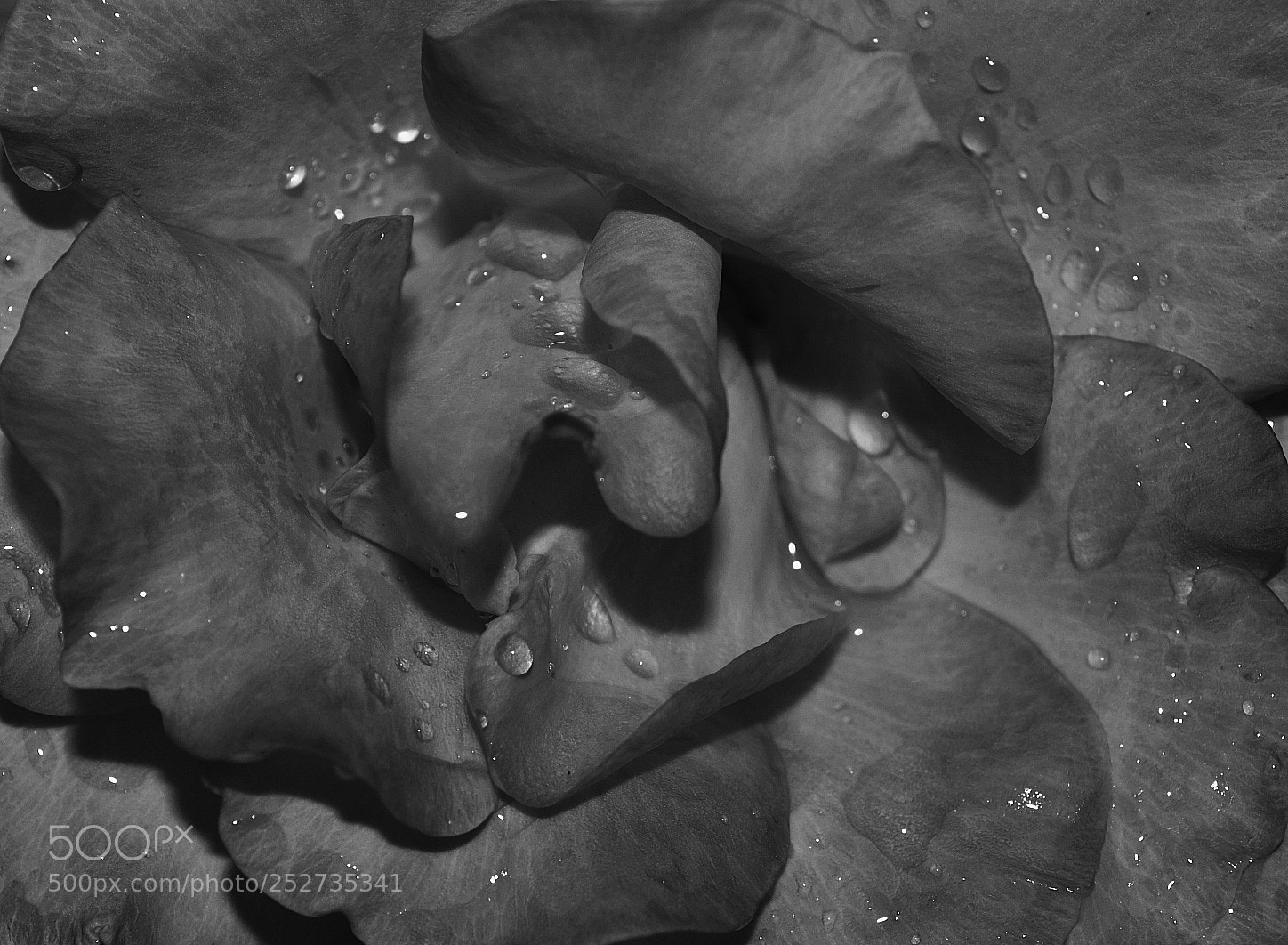 Nikon D3100 sample photo. Untitled photography