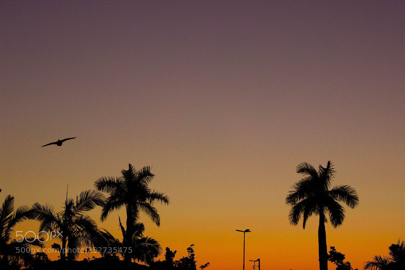 Canon EOS 600D (Rebel EOS T3i / EOS Kiss X5) sample photo. Nice sunset photography