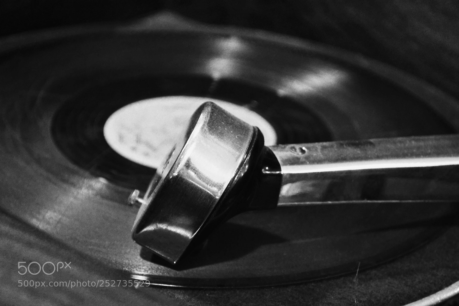 Nikon D3100 sample photo. Untitled photography