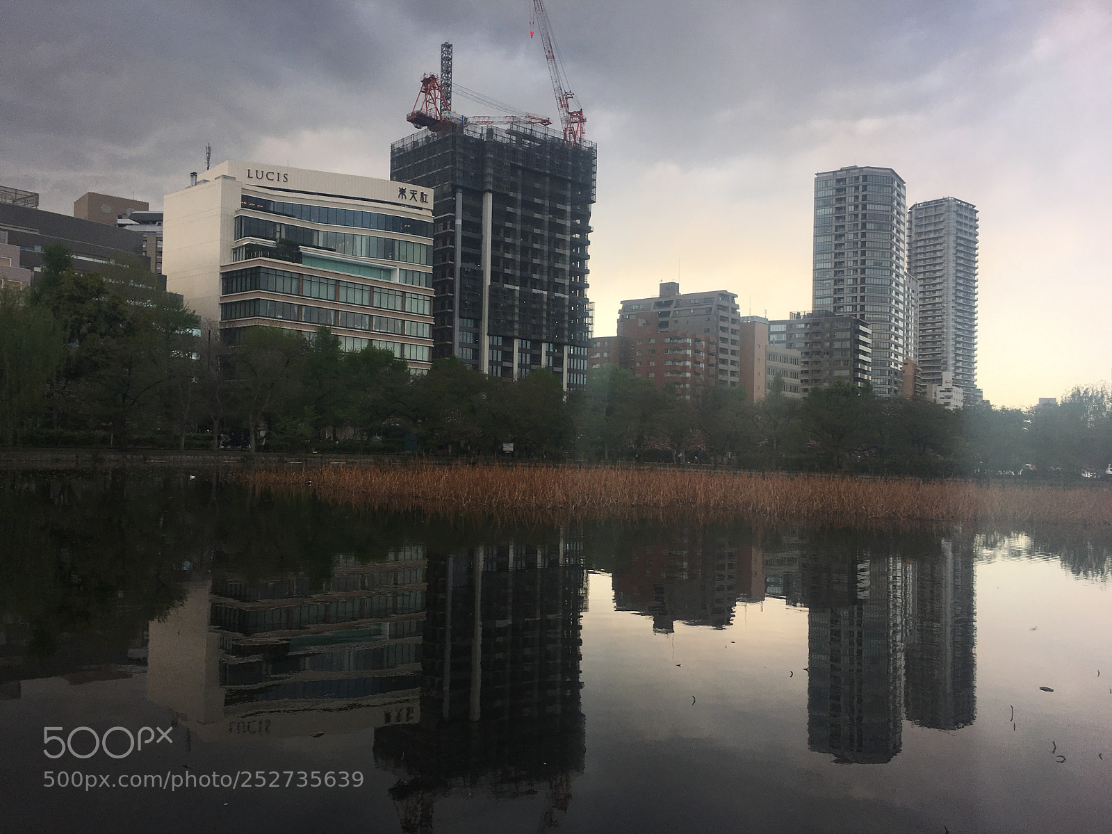 Apple iPhone 6s sample photo. Untitled photography
