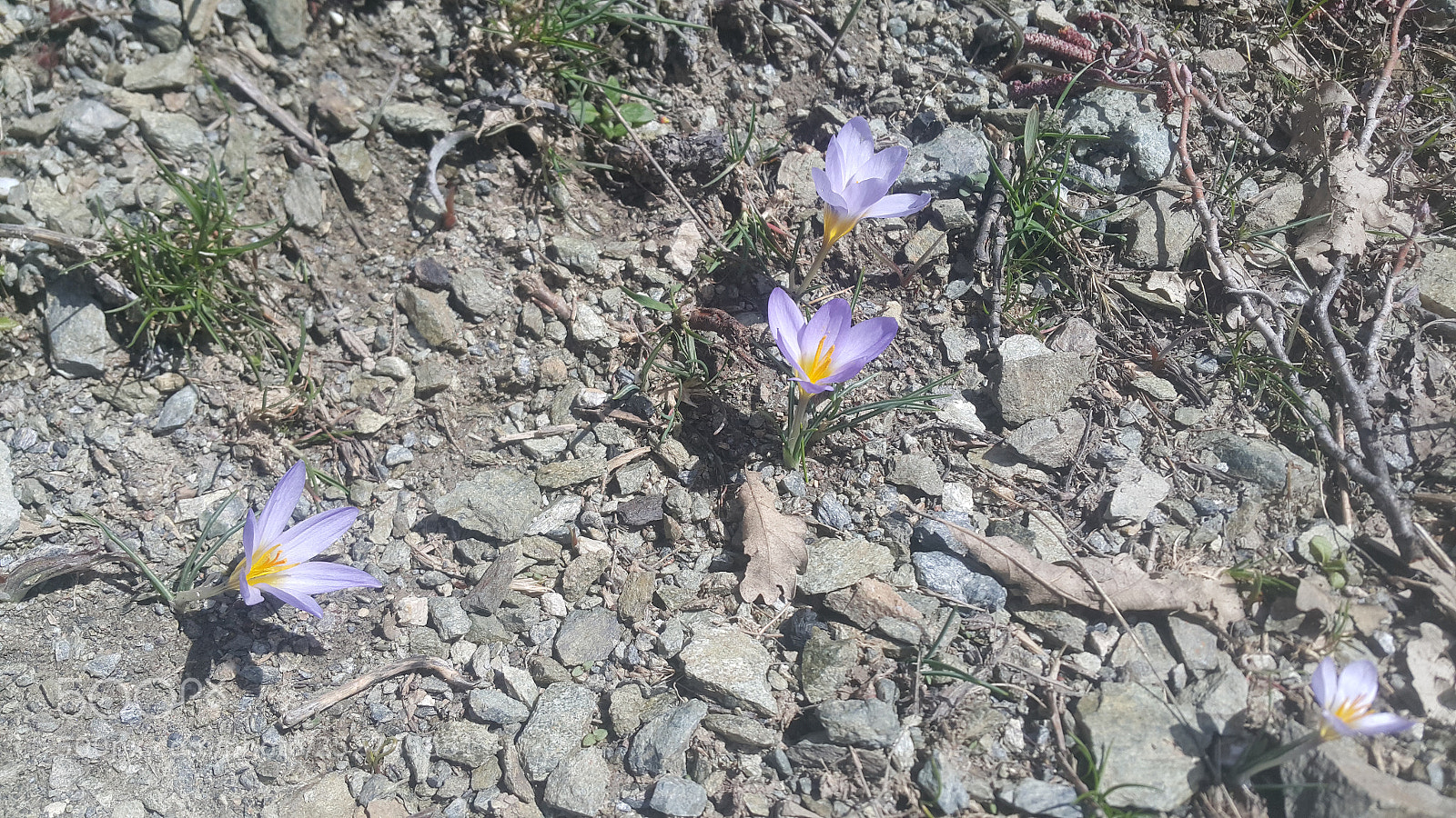 Samsung Galaxy Note4 sample photo. Untitled photography