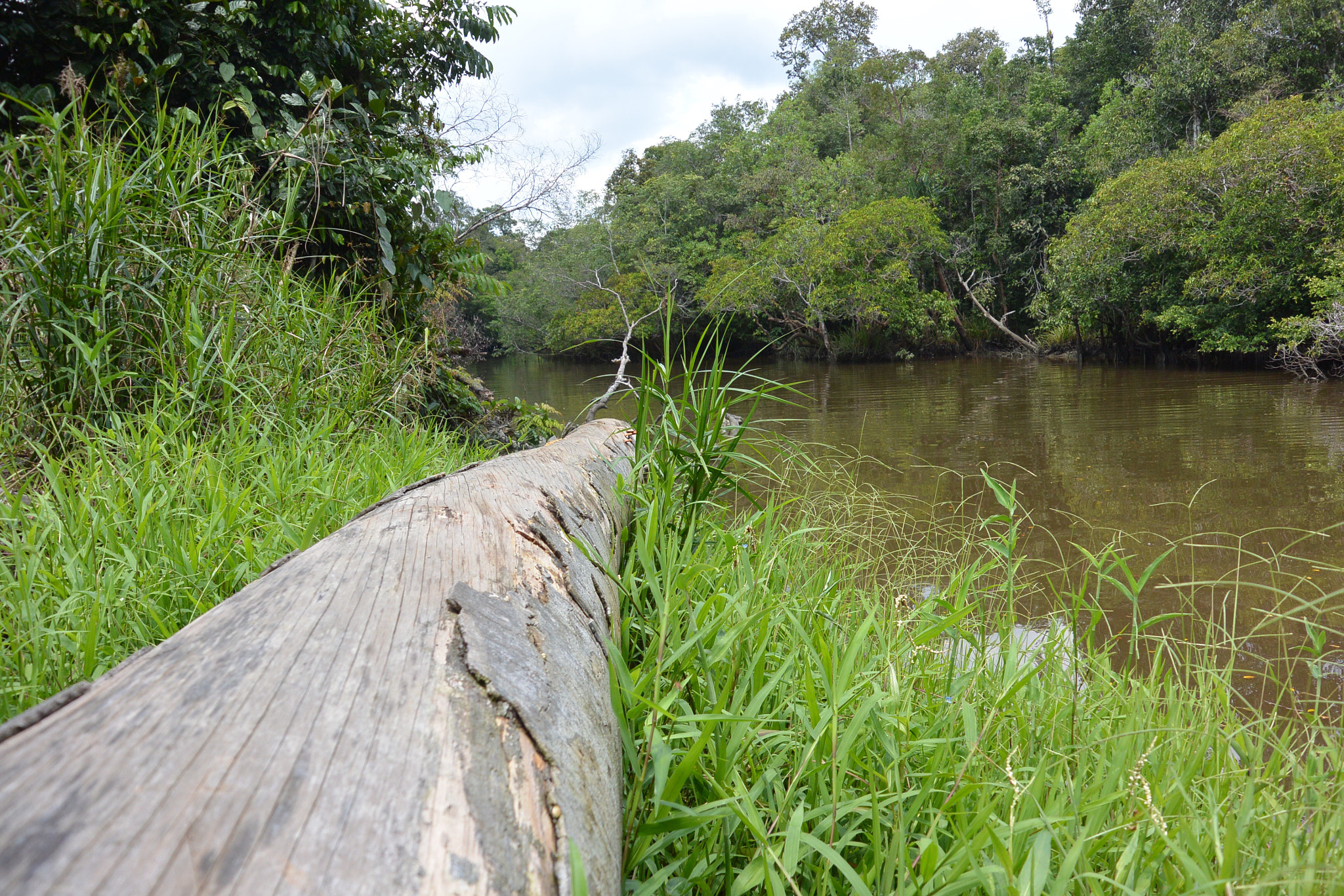 Nikon 1 J3 sample photo. Si agung river photography