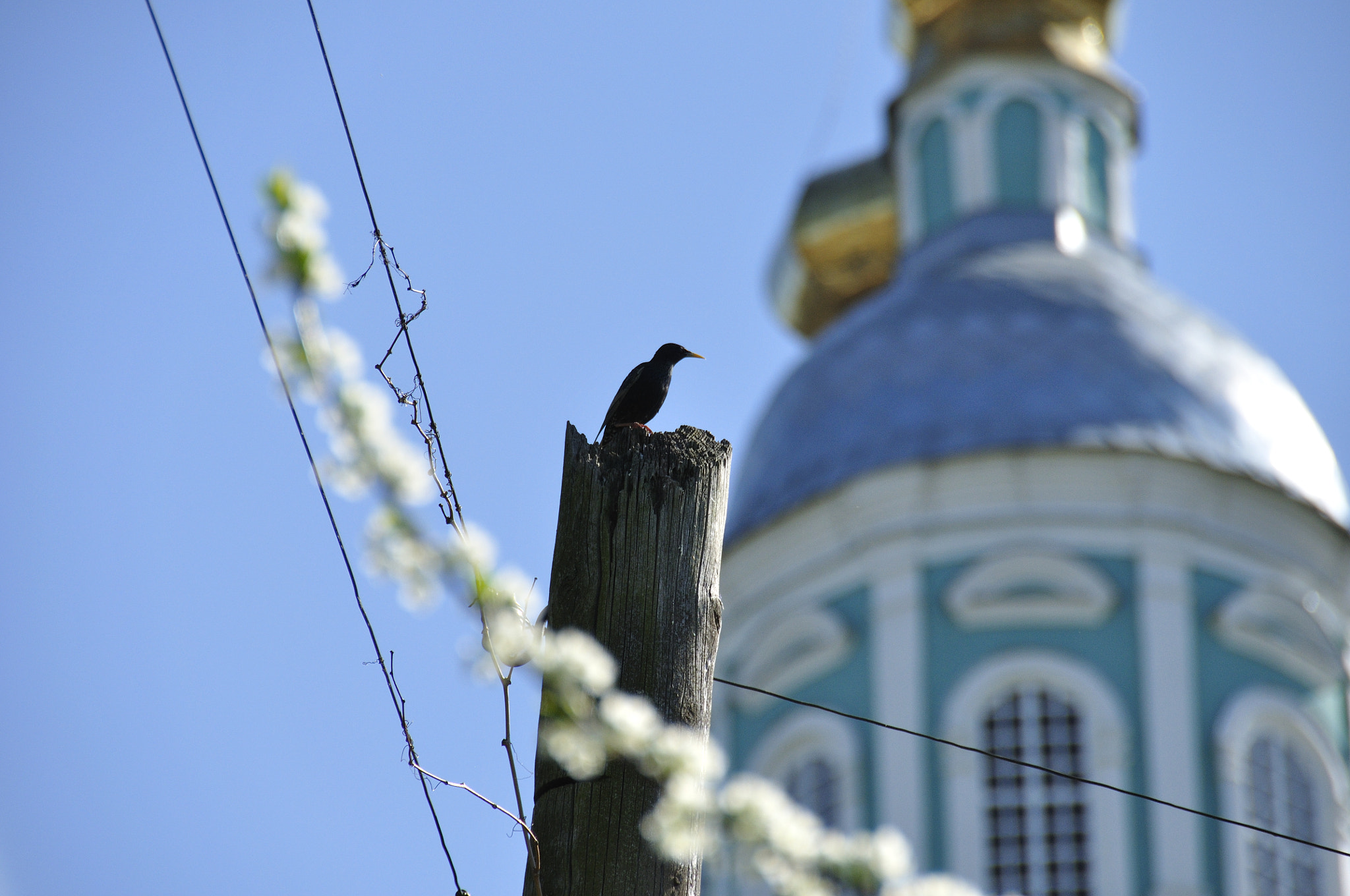 Nikon D90 sample photo. ***** photography