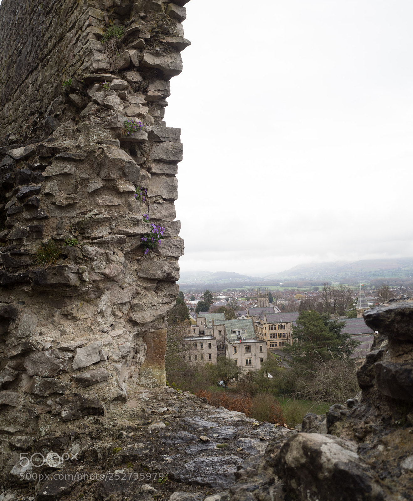 Olympus OM-D E-M10 II sample photo. Dreary day photography