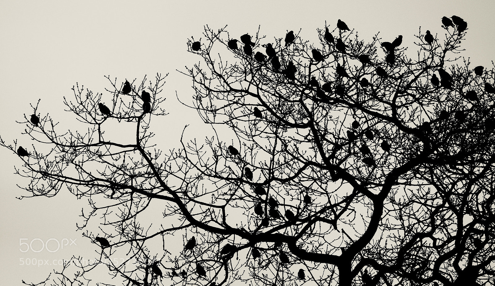 Panasonic Lumix DMC-GX7 sample photo. High rise. photography