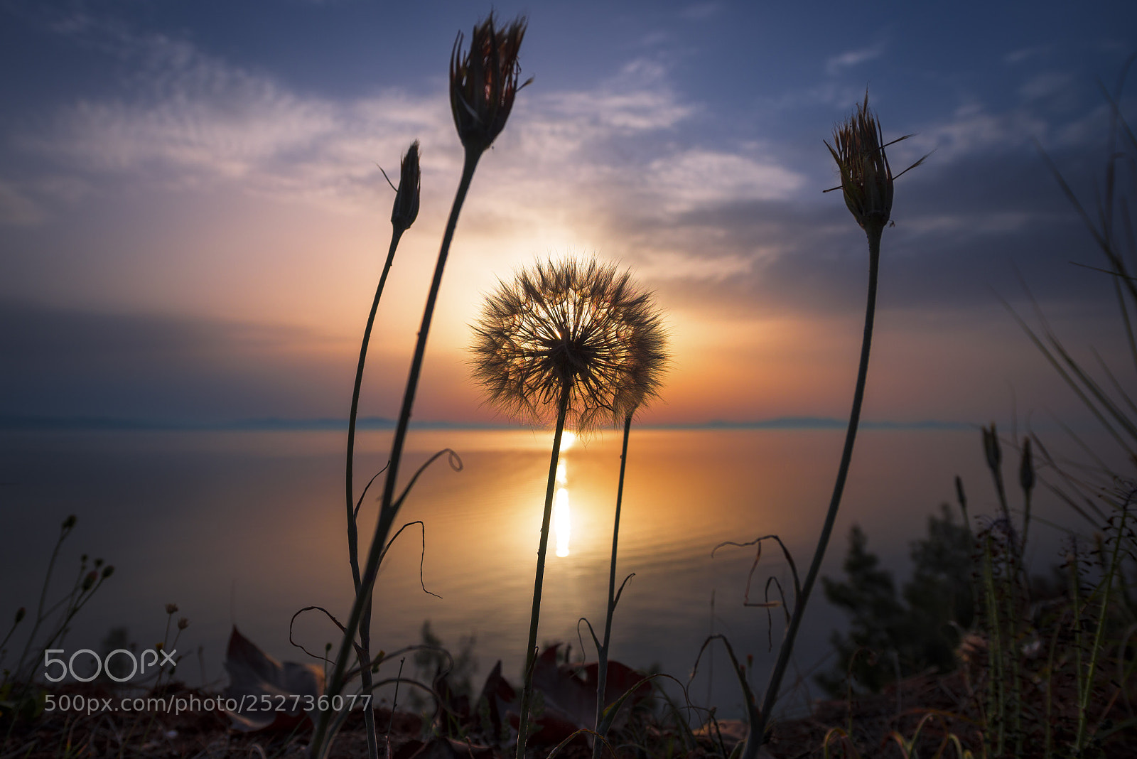 Nikon D600 sample photo. Dawn at the sea photography