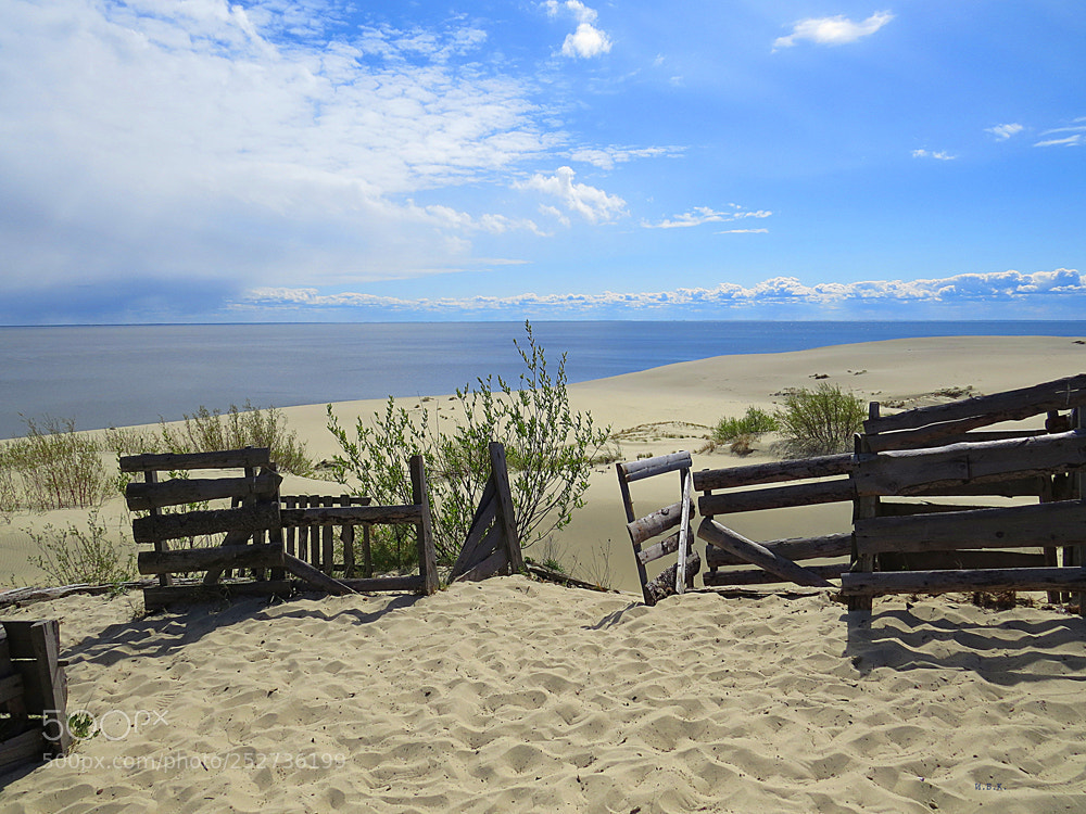 Canon PowerShot SX50 HS sample photo. Curonian spit, baltic sea photography