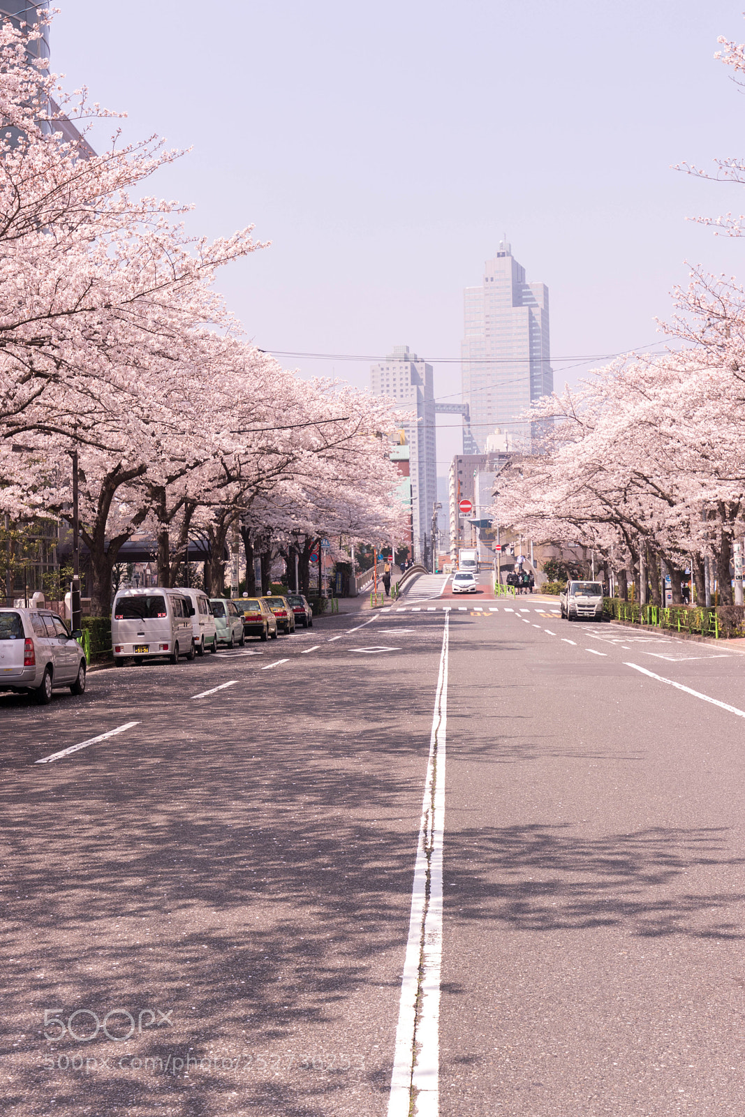 Canon EOS 80D sample photo. Img photography