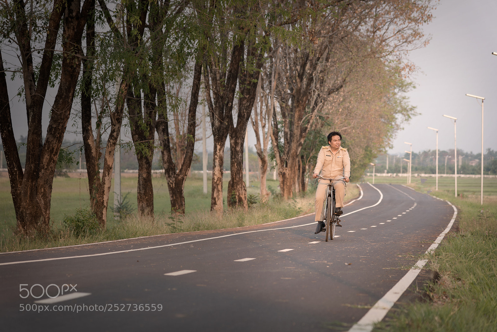 Nikon D810 sample photo. Cha photography