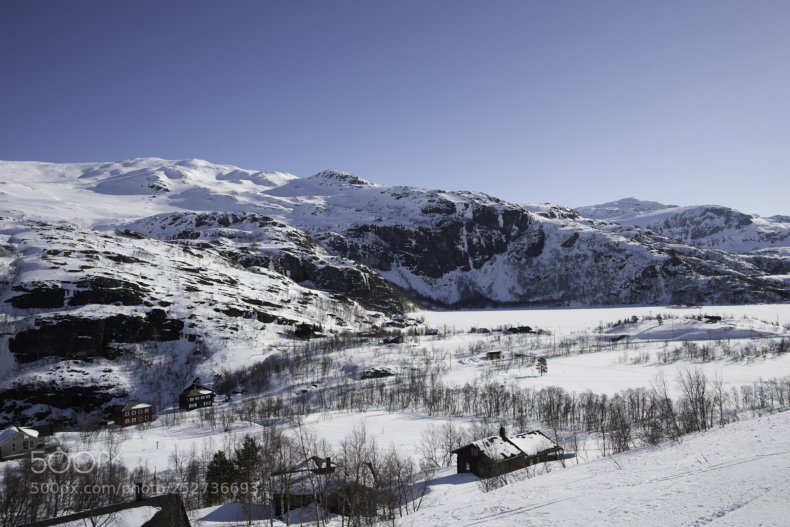 Nikon D810 sample photo. Bergen march flamsbana photography