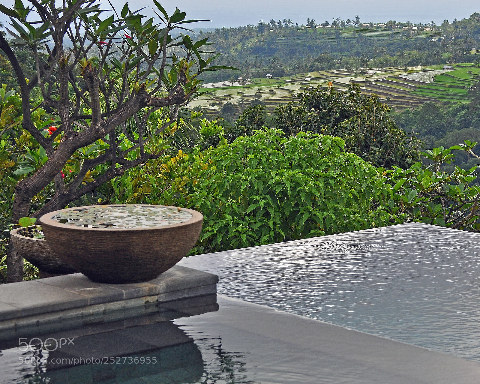 Nikon D90 sample photo. Infinity pool and terraced photography