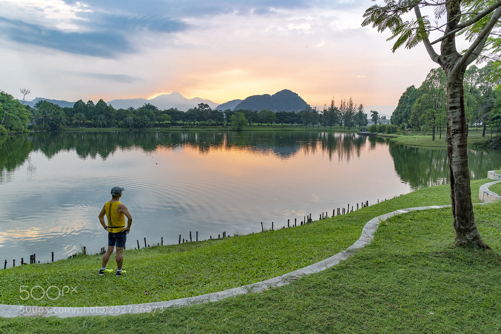 Nikon D850 sample photo. The runner in the photography