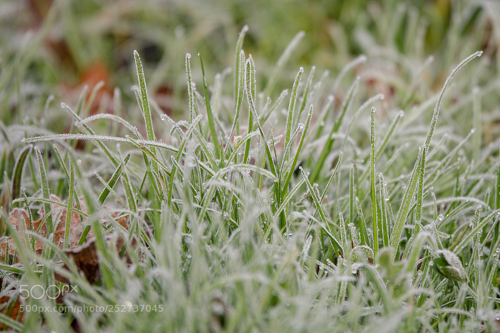 Sony Cyber-shot DSC-RX10 III sample photo. Les hauts de loire photography