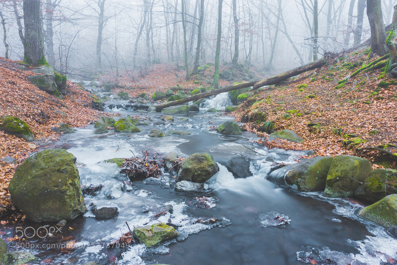 Sony a6000 sample photo. What a cold day photography