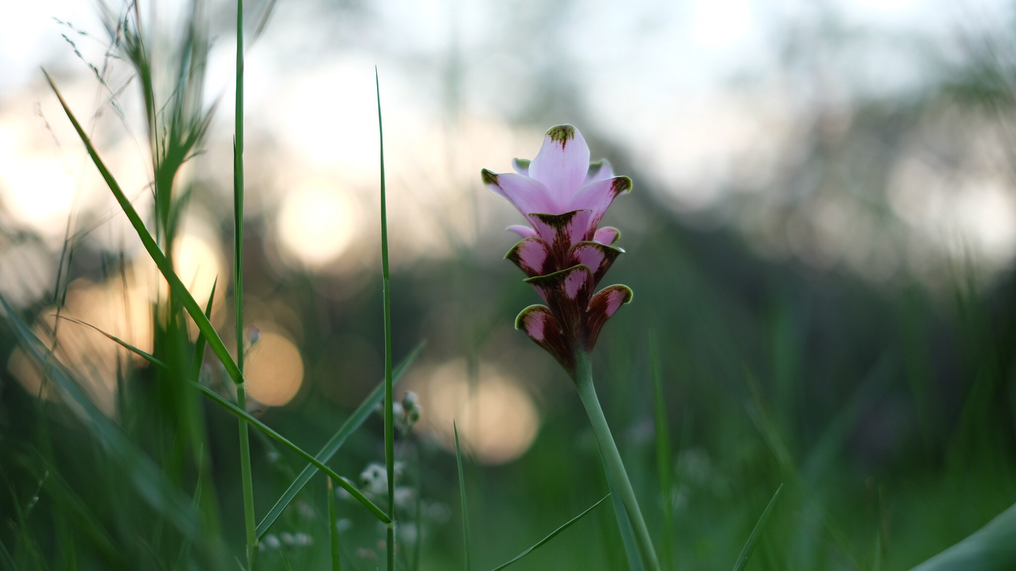Fujifilm X-A2 sample photo