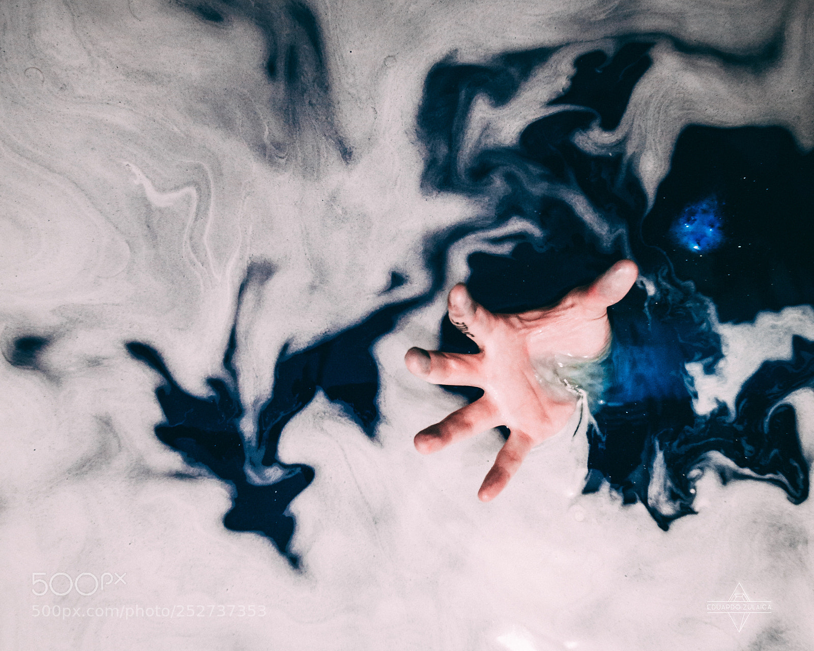 Nikon D800 sample photo. Untitled photography