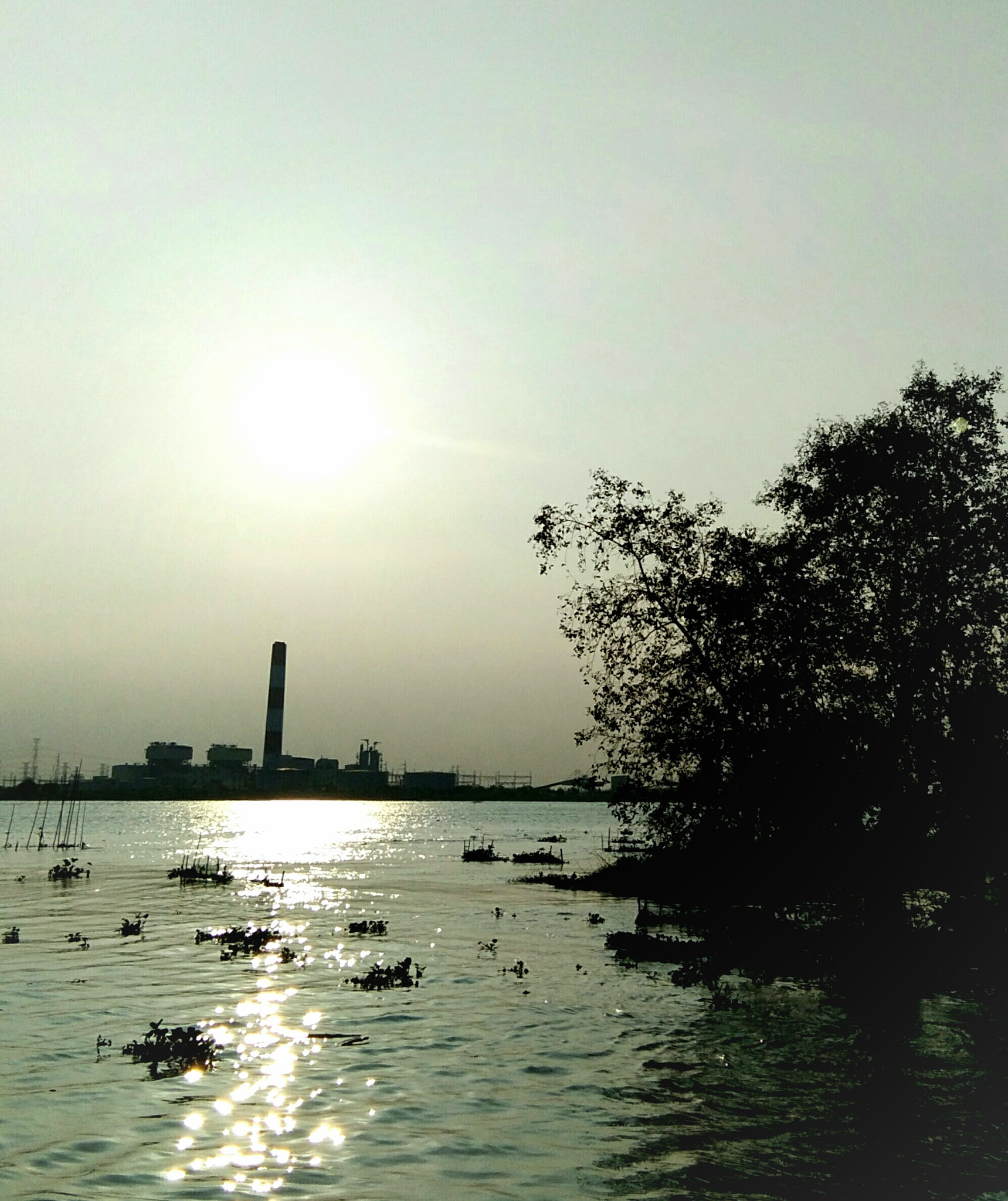 vivo Y55s sample photo