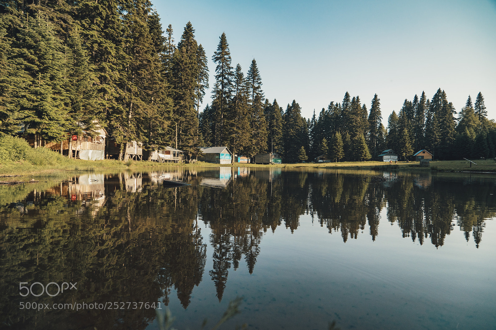 Sony a7 II sample photo. Purenli photography