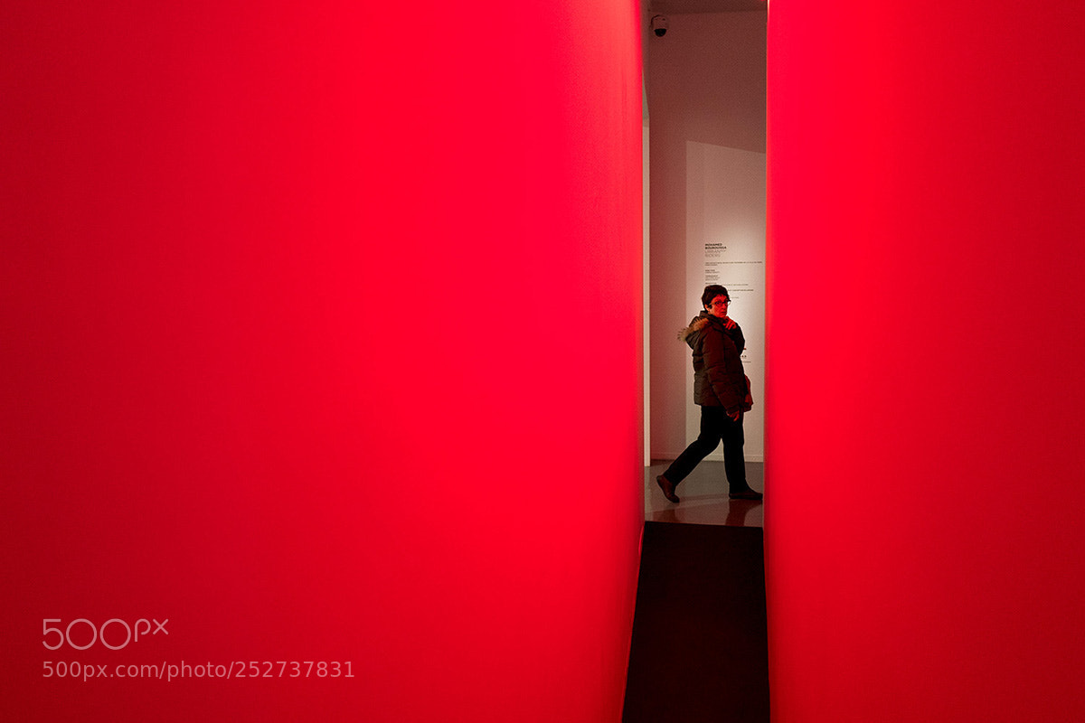 Leica Q (Typ 116) sample photo. Red walls photography
