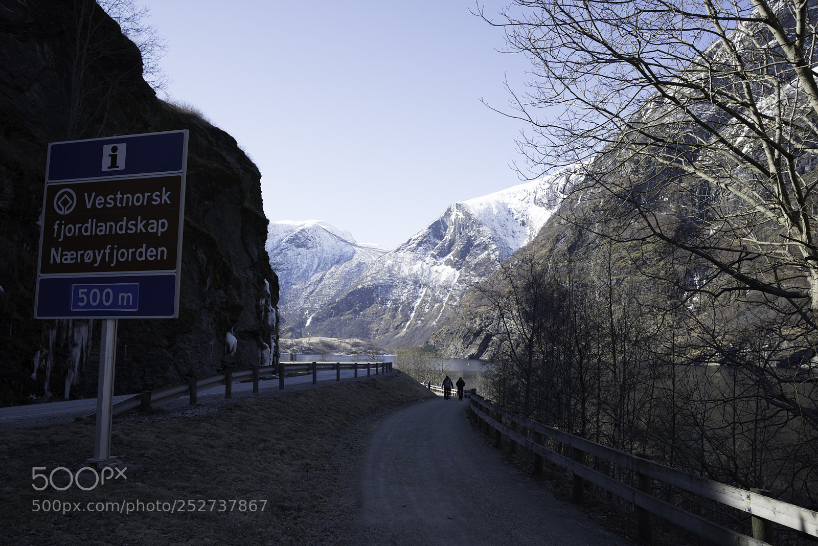 Nikon D810 sample photo. Bergen march flamsbana photography