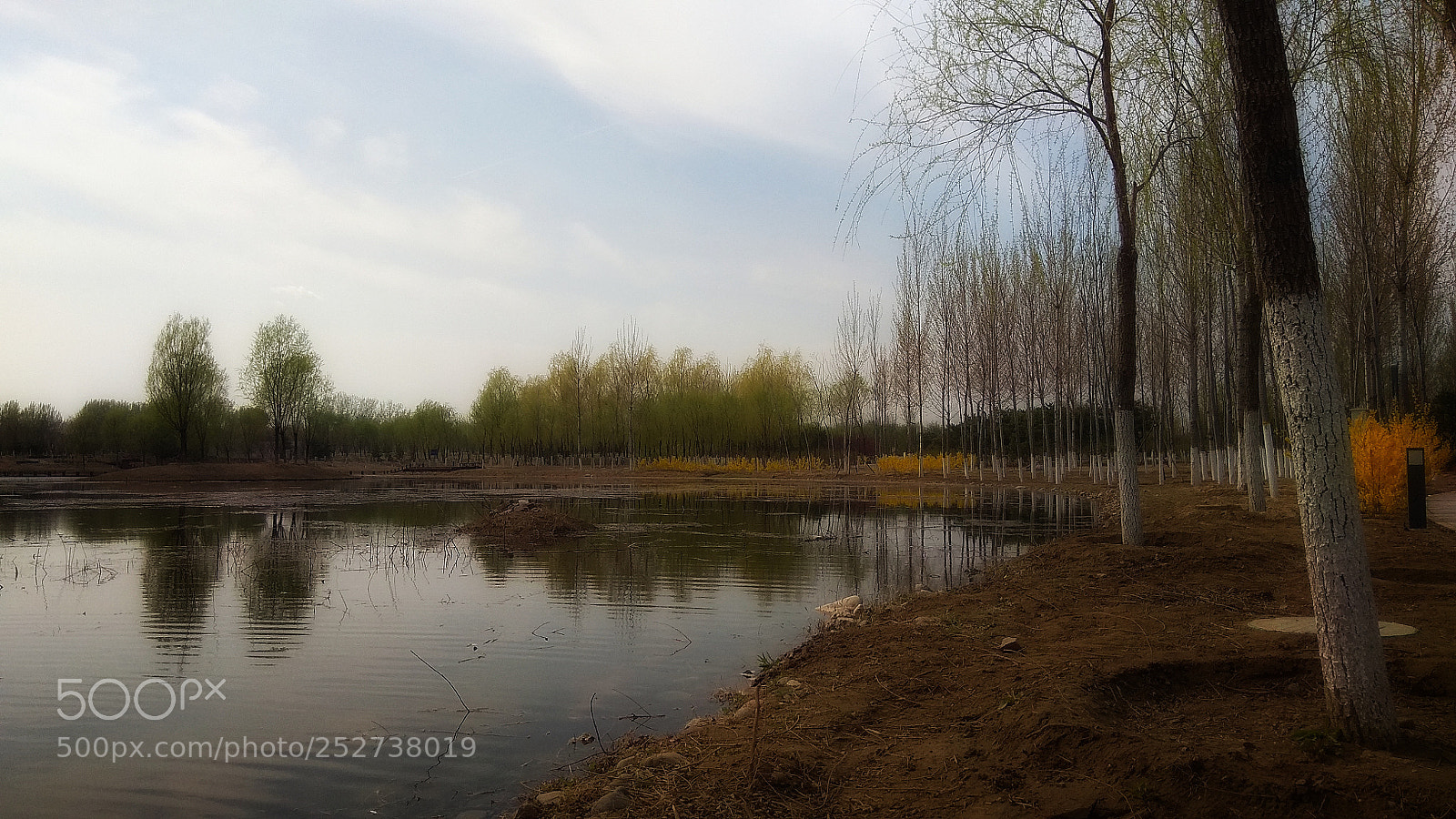 Xiaomi Redmi Note 4X sample photo. 18 photography