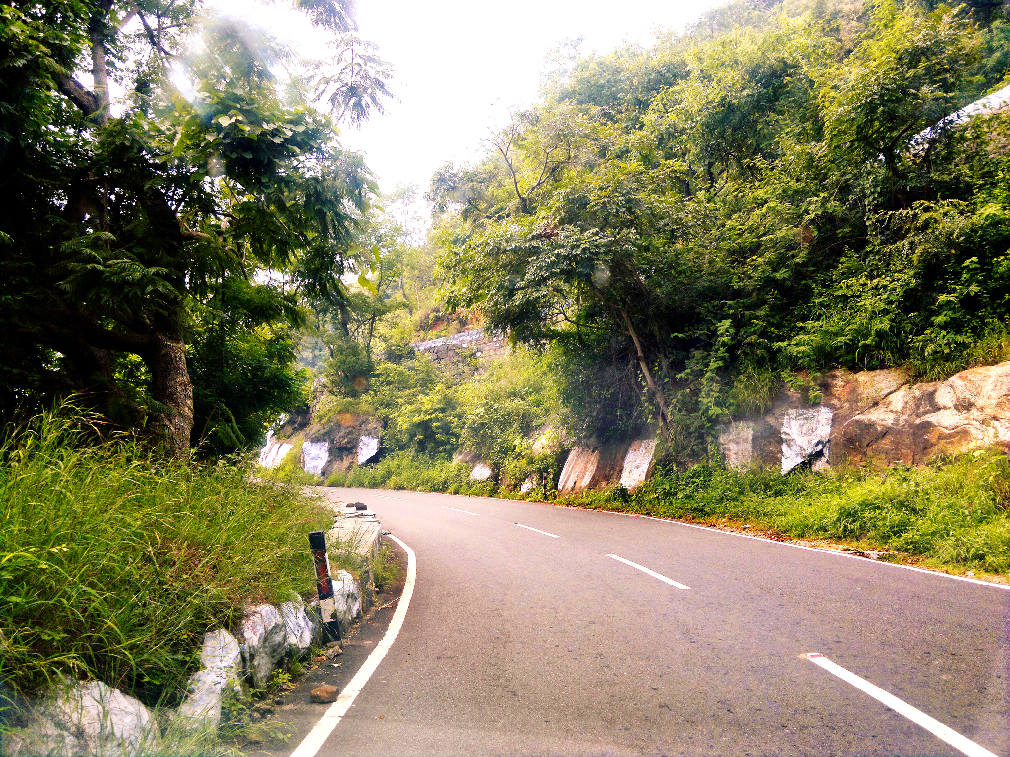 Nokia N8-00 sample photo. Road trip photography