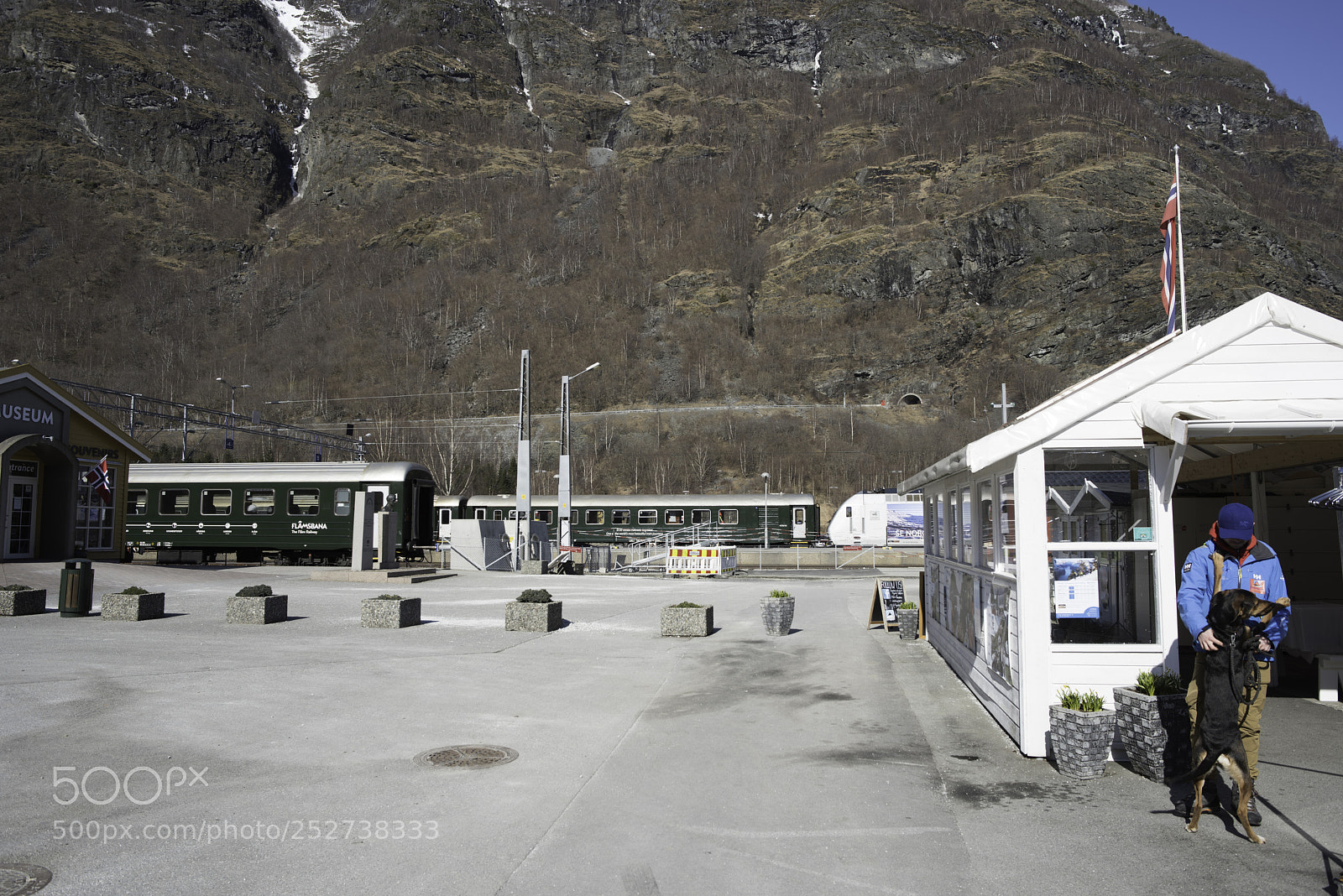 Nikon D810 sample photo. Bergen march flamsbana photography