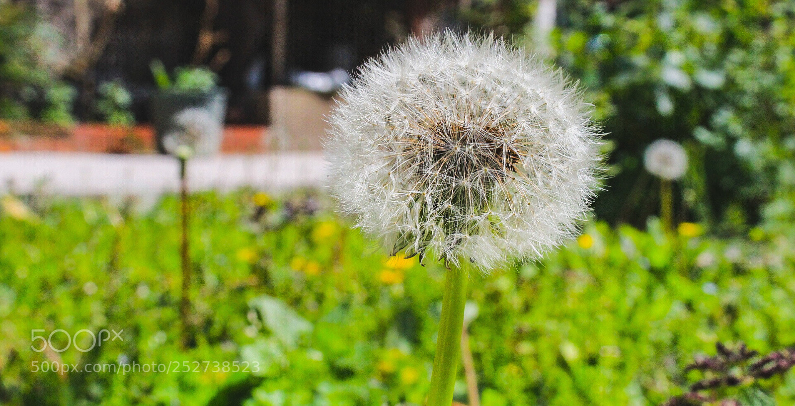 Canon EOS 1300D (EOS Rebel T6 / EOS Kiss X80) sample photo. Untitled photography