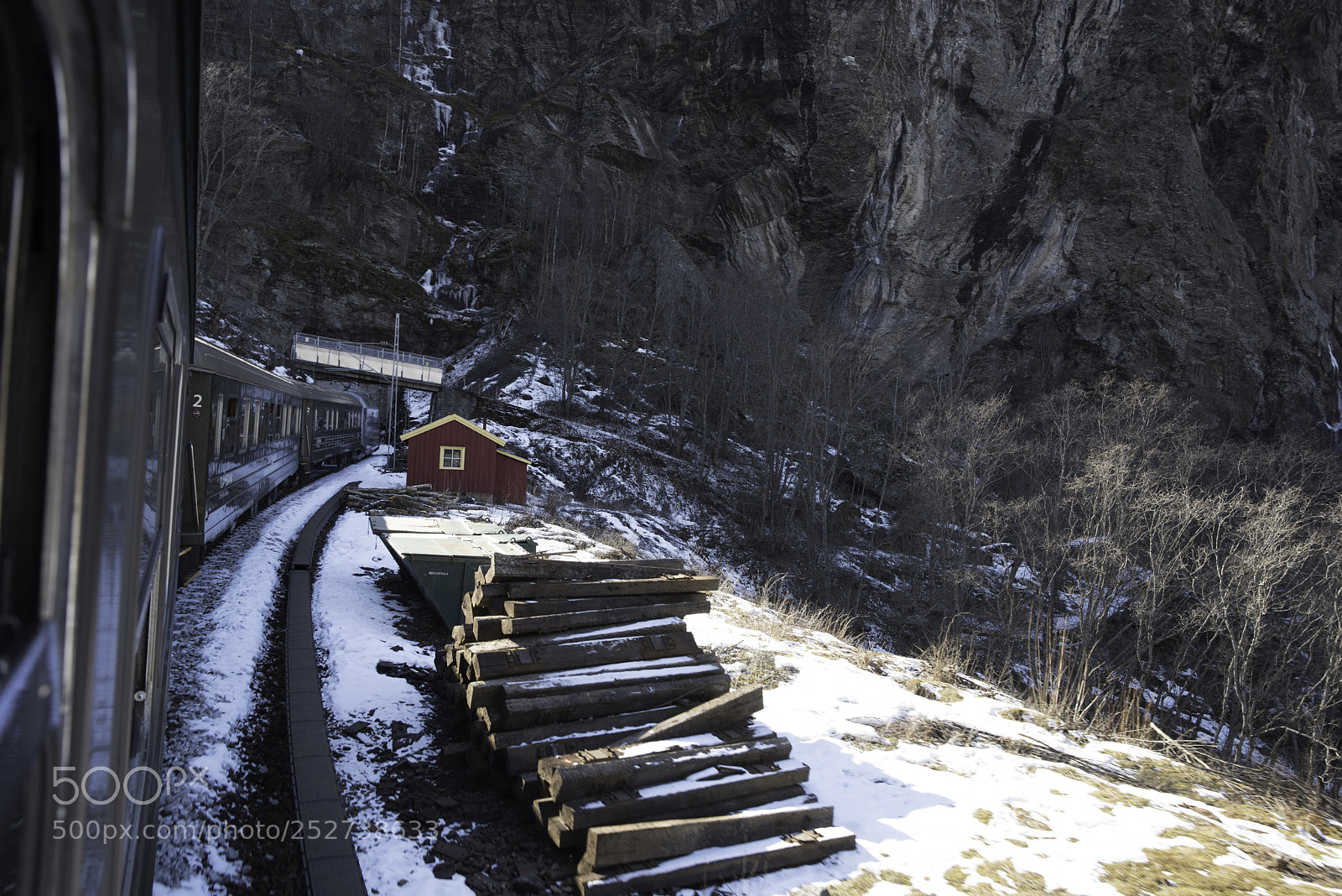 Nikon D810 sample photo. Bergen march flamsbana photography