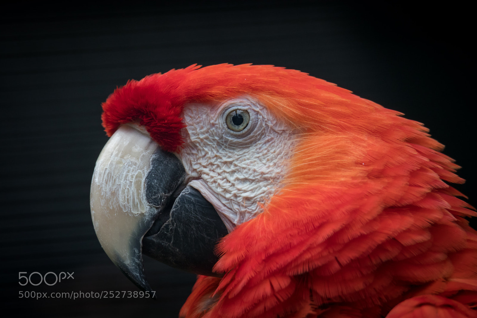 Canon EOS 80D sample photo. Untitled photography