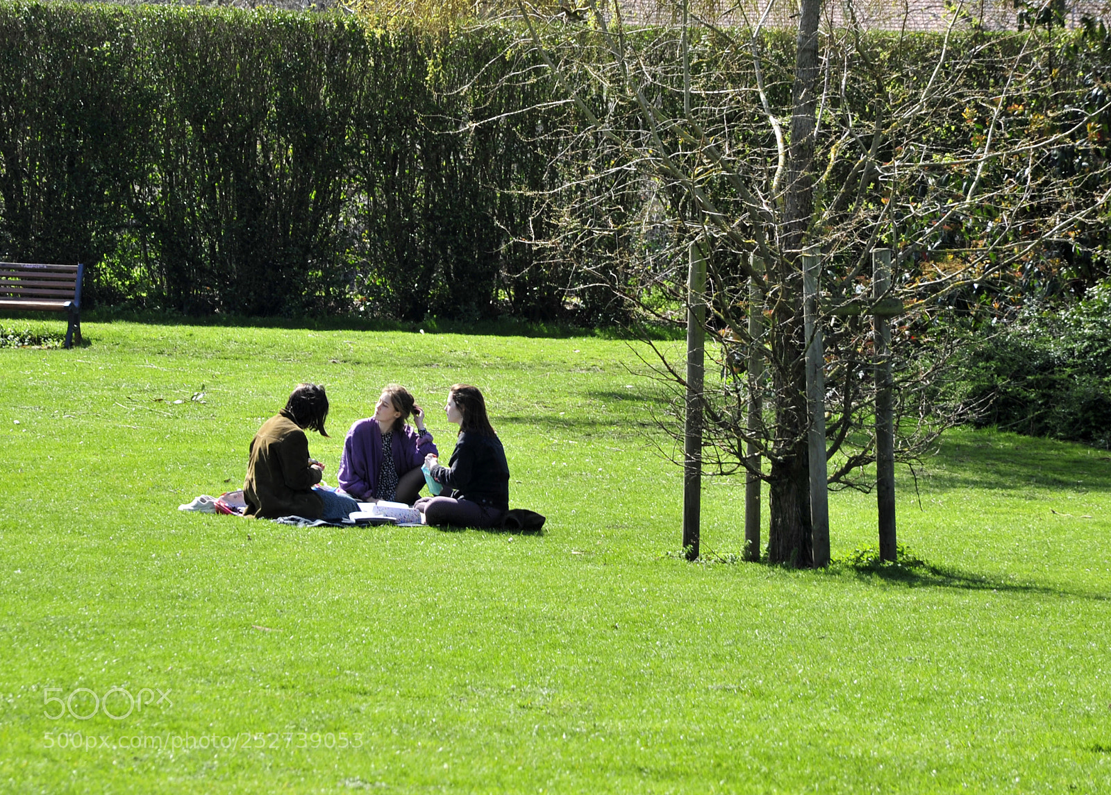 Nikon D700 sample photo. Picnic photography