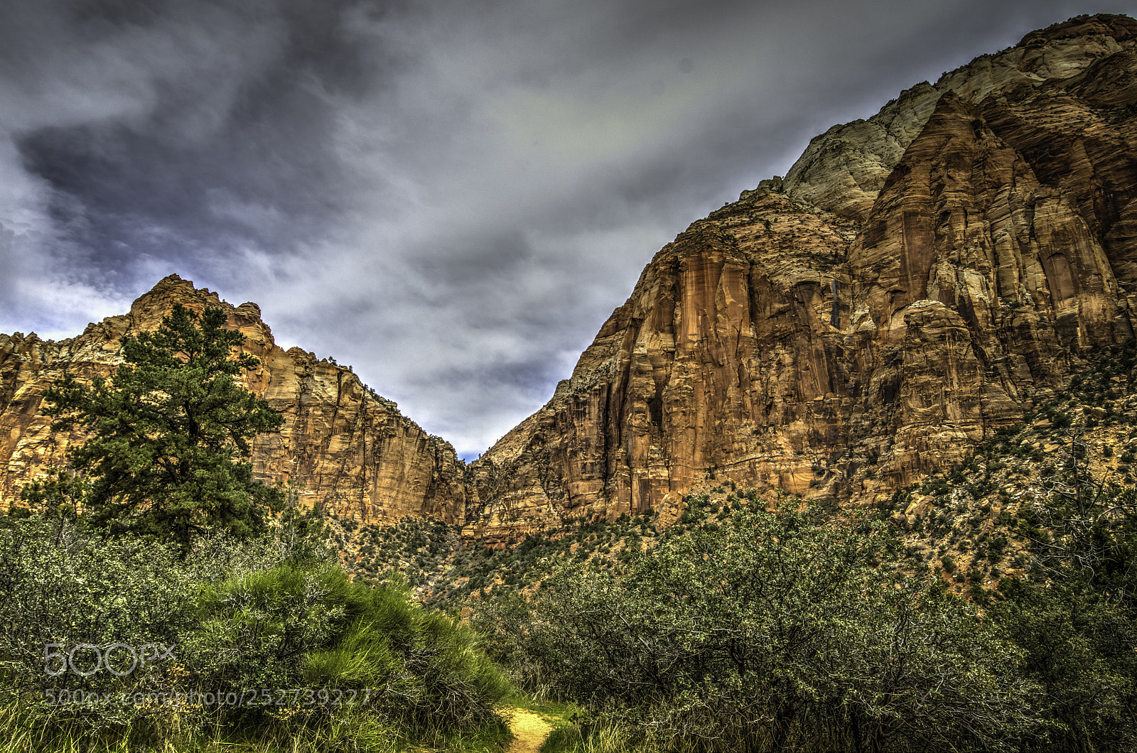 Nikon D7200 sample photo. Zion in the spring photography
