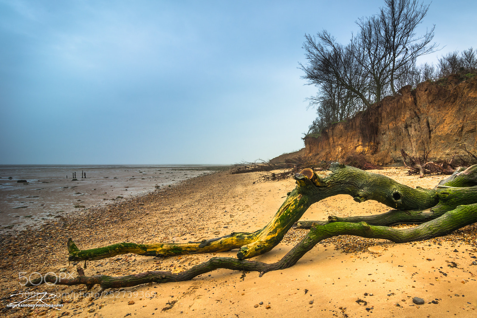 Nikon D7100 sample photo. East mersea beach photography