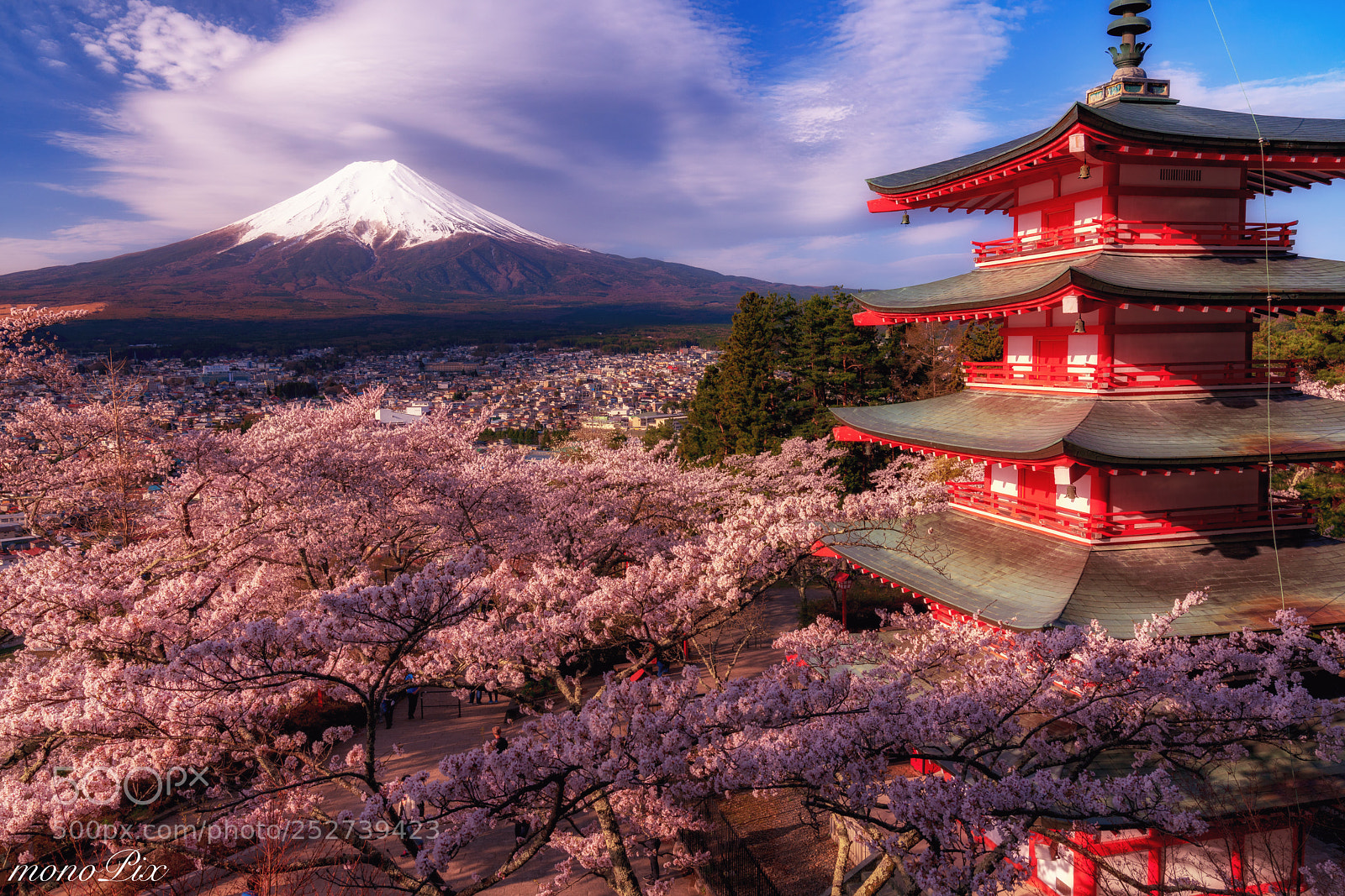 Sony a7R III sample photo. Mt.fuji and cherry blossoms photography