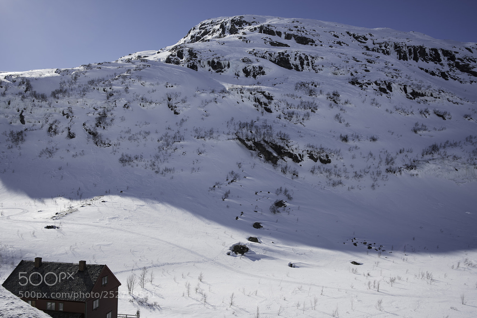Nikon D810 sample photo. Bergen march flamsbana photography