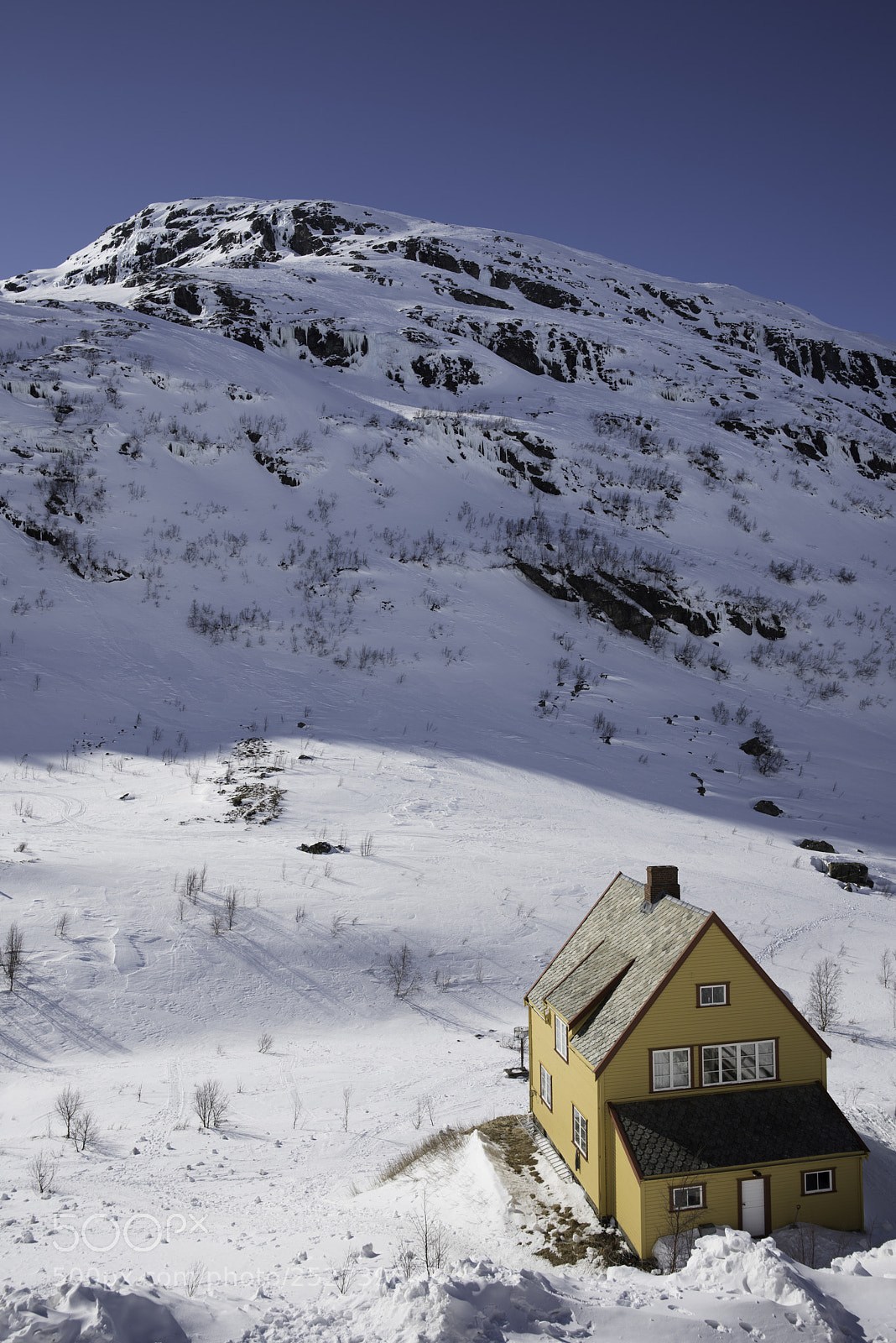 Nikon D810 sample photo. Bergen march flamsbana photography