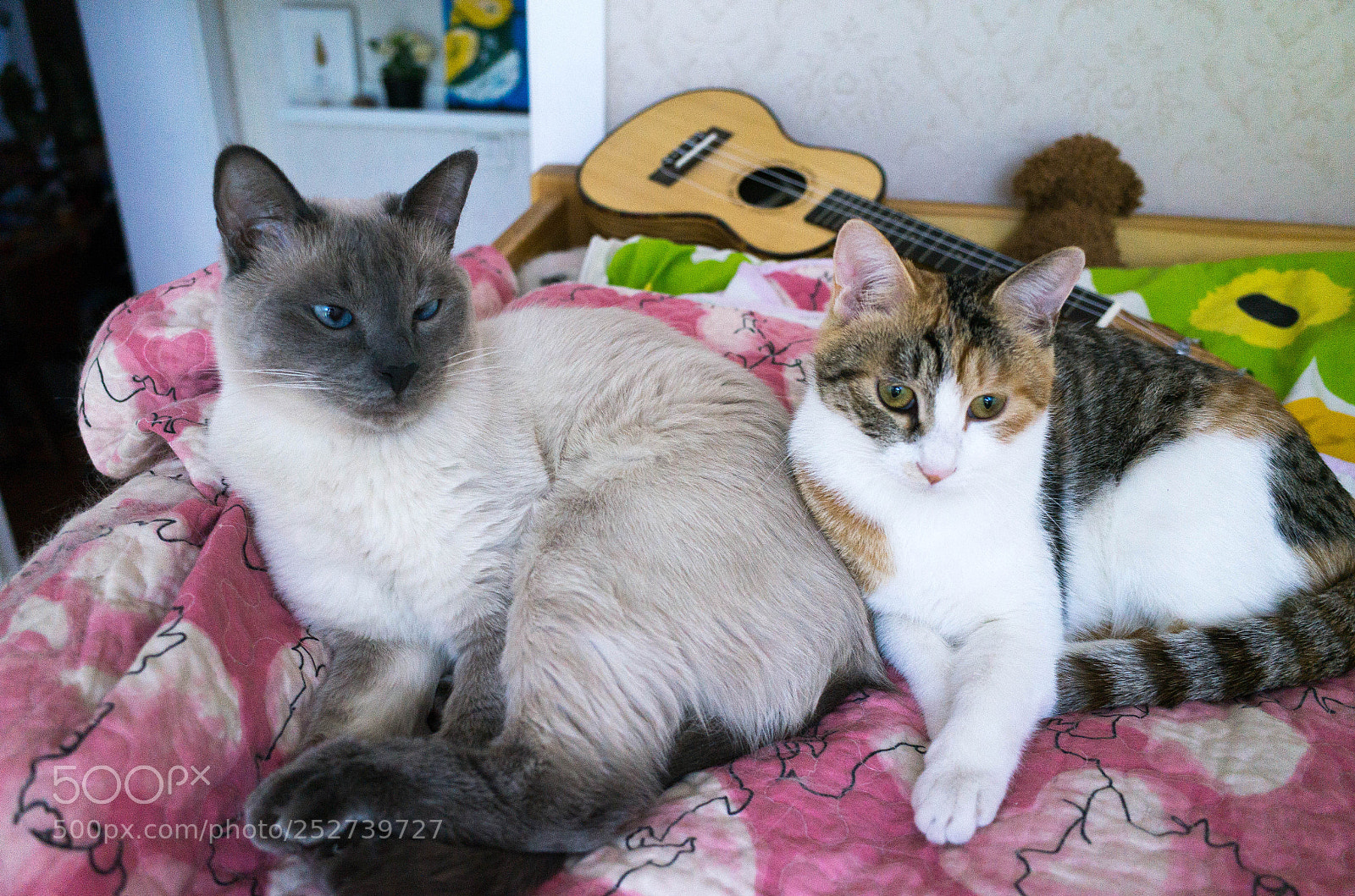 Ricoh GR sample photo. R photography