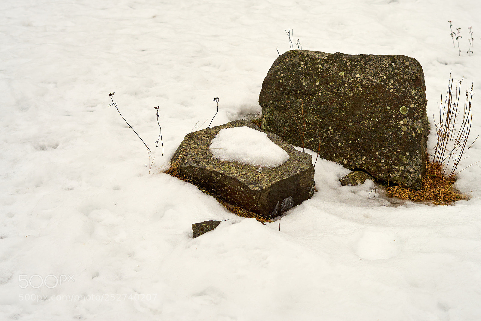 Sony a7 sample photo. Last snow on the photography