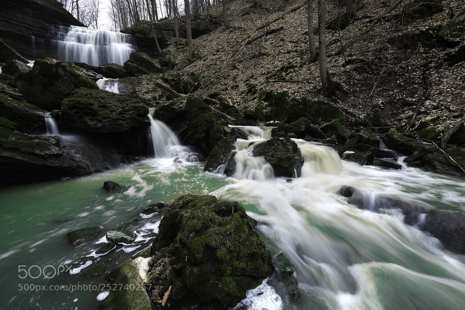 Nikon D600 sample photo. Moss and water photography