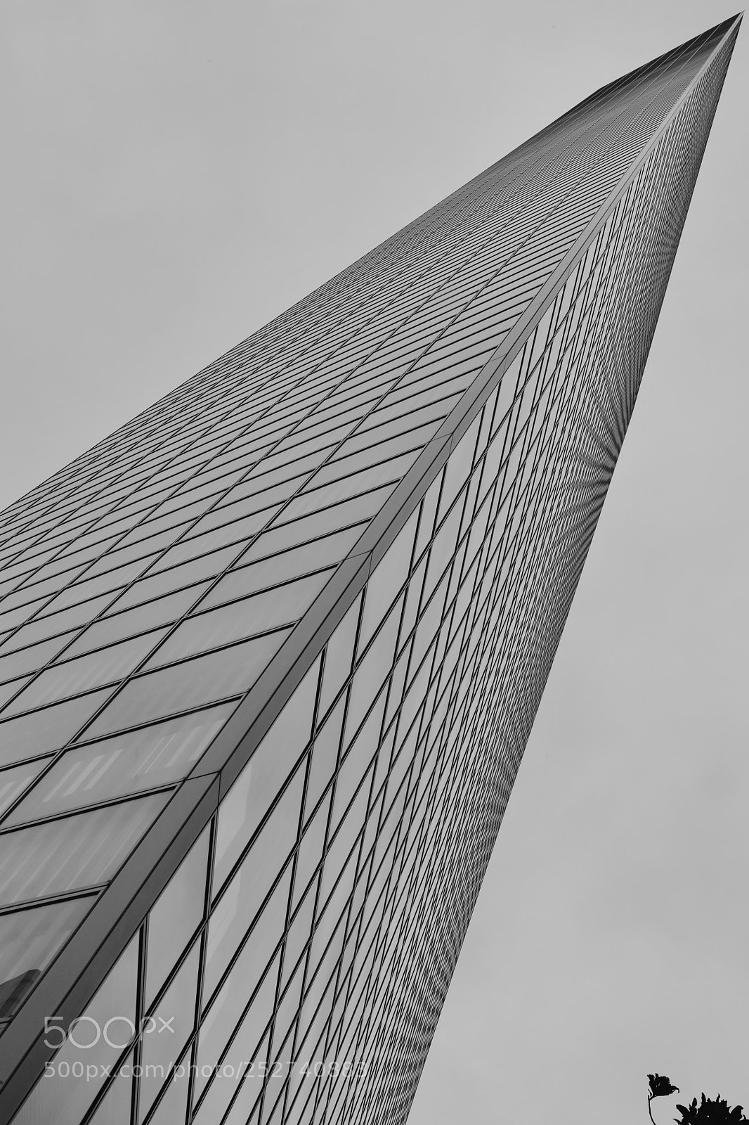 Canon EOS 5D Mark IV sample photo. B/w photography