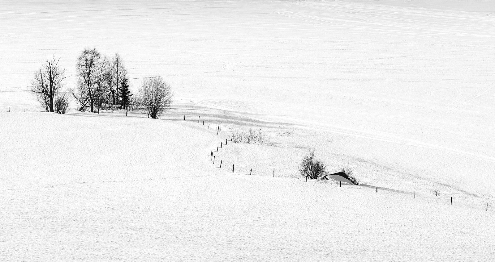 Canon EOS 5DS sample photo. Fence in snow photography