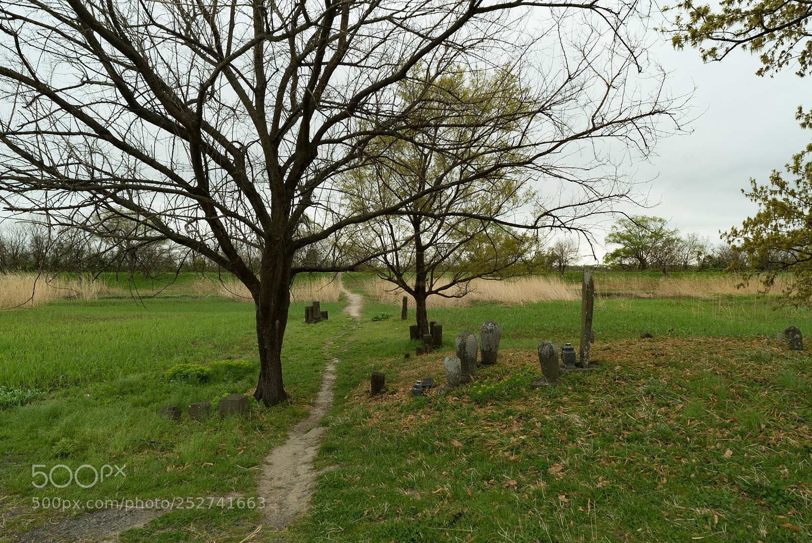 Sony a7S sample photo. Ex-taninaka village photography