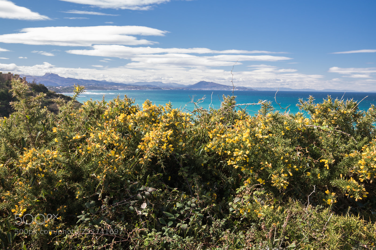 Canon EOS 760D (EOS Rebel T6s / EOS 8000D) sample photo. Springtime on basque coast photography