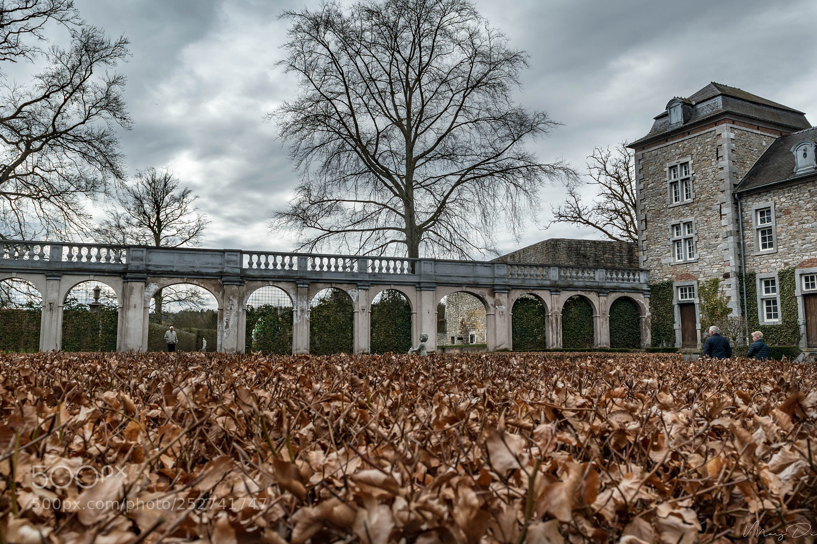 Nikon D5500 sample photo. Les jardins d'annevoie photography
