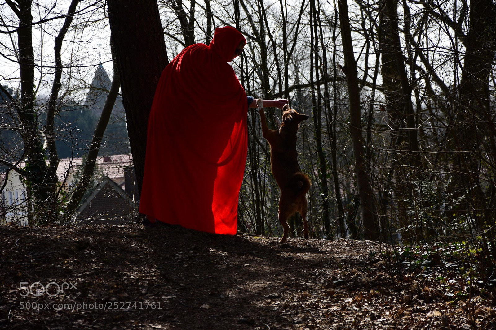 Nikon D7200 sample photo. Red riding hood had photography