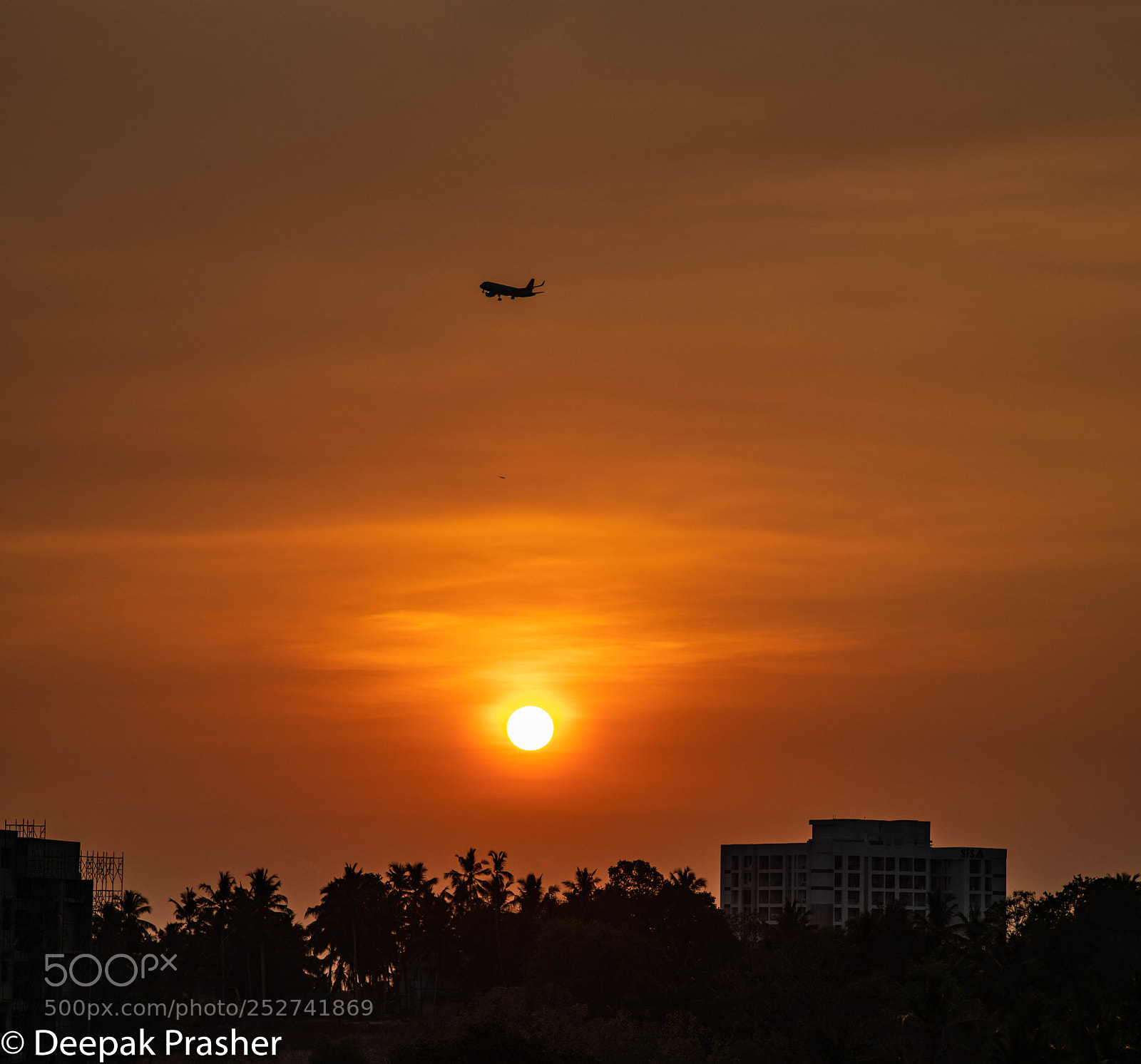Nikon D850 sample photo. Plane sunset photography