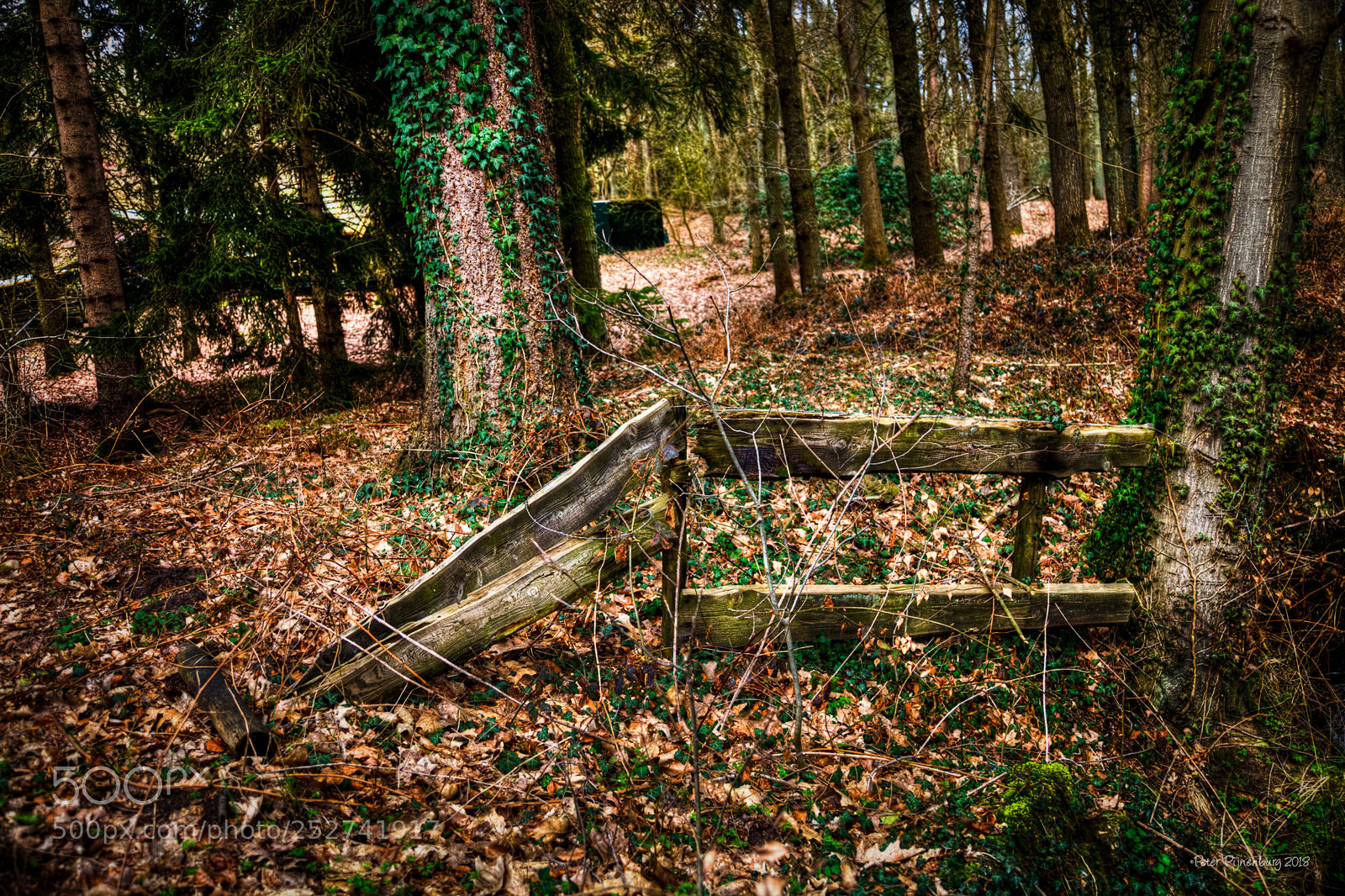 Canon EOS 5D Mark II sample photo. Old fence photography