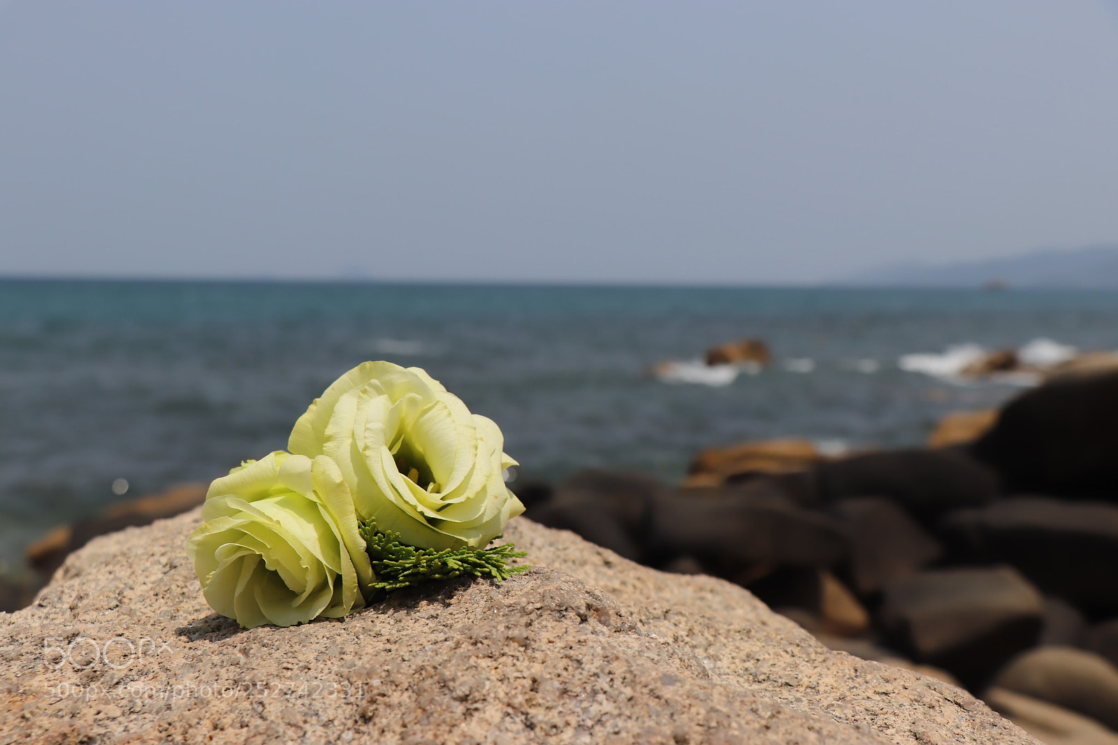 Canon EOS 77D (EOS 9000D / EOS 770D) sample photo. Untitled photography
